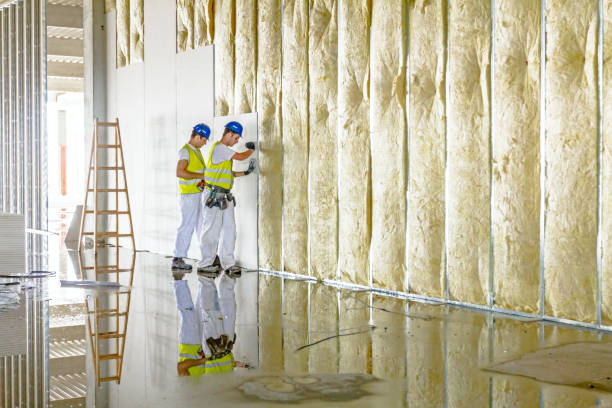 Types of Insulation We Offer in Plandome, NY
